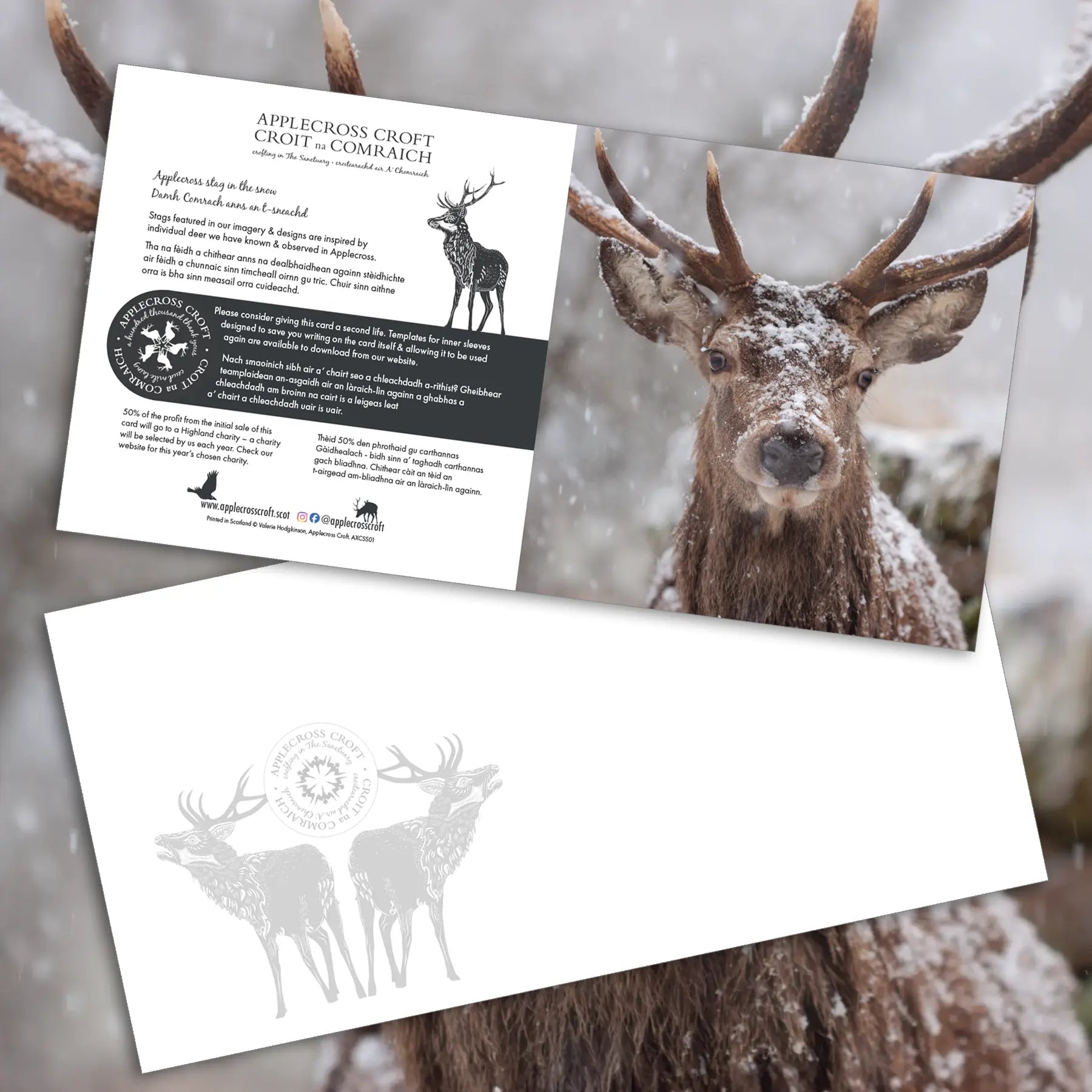 Winter cards featuring Applecross stags in the snow