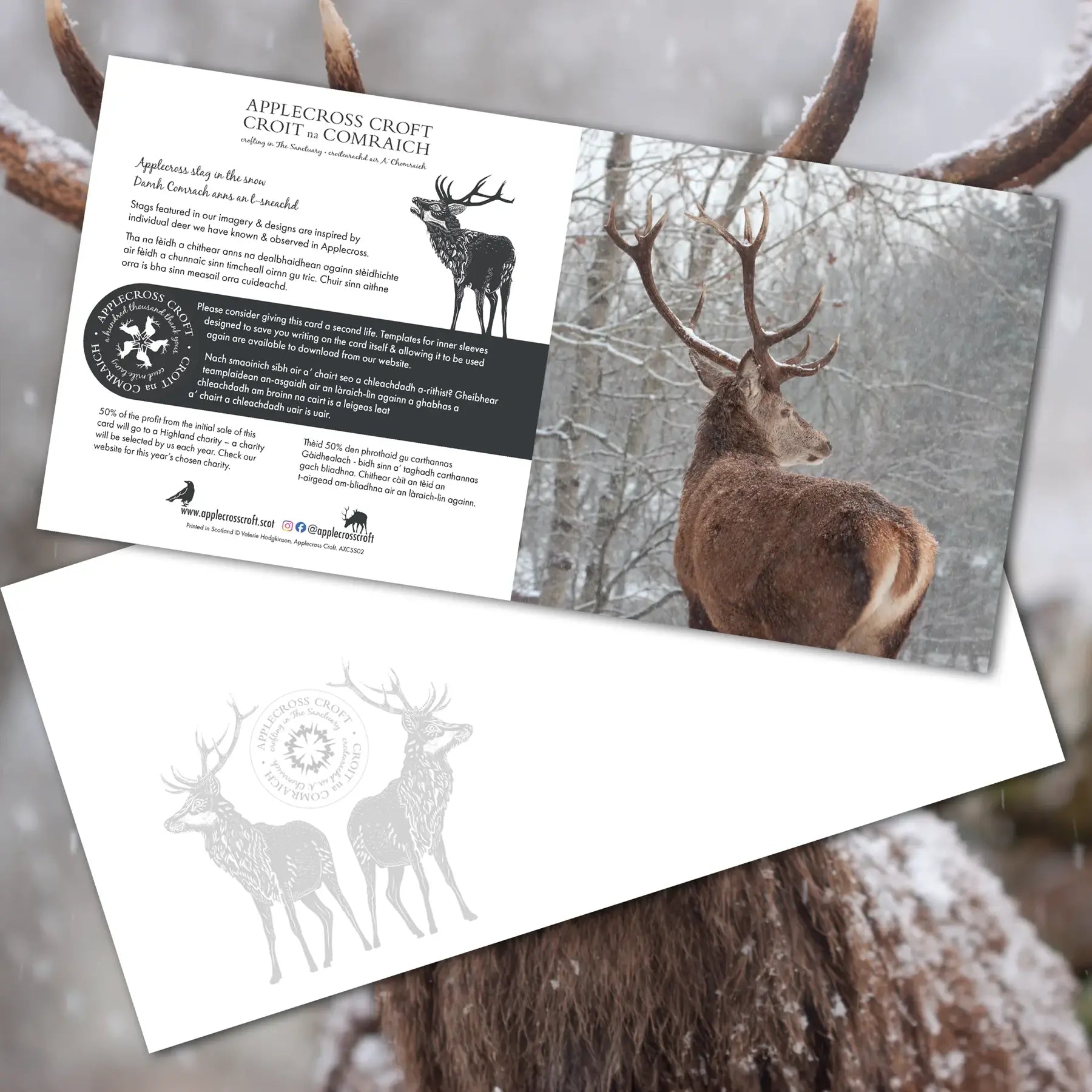 Pack of 4 Stag Greeting Cards | Cairtean