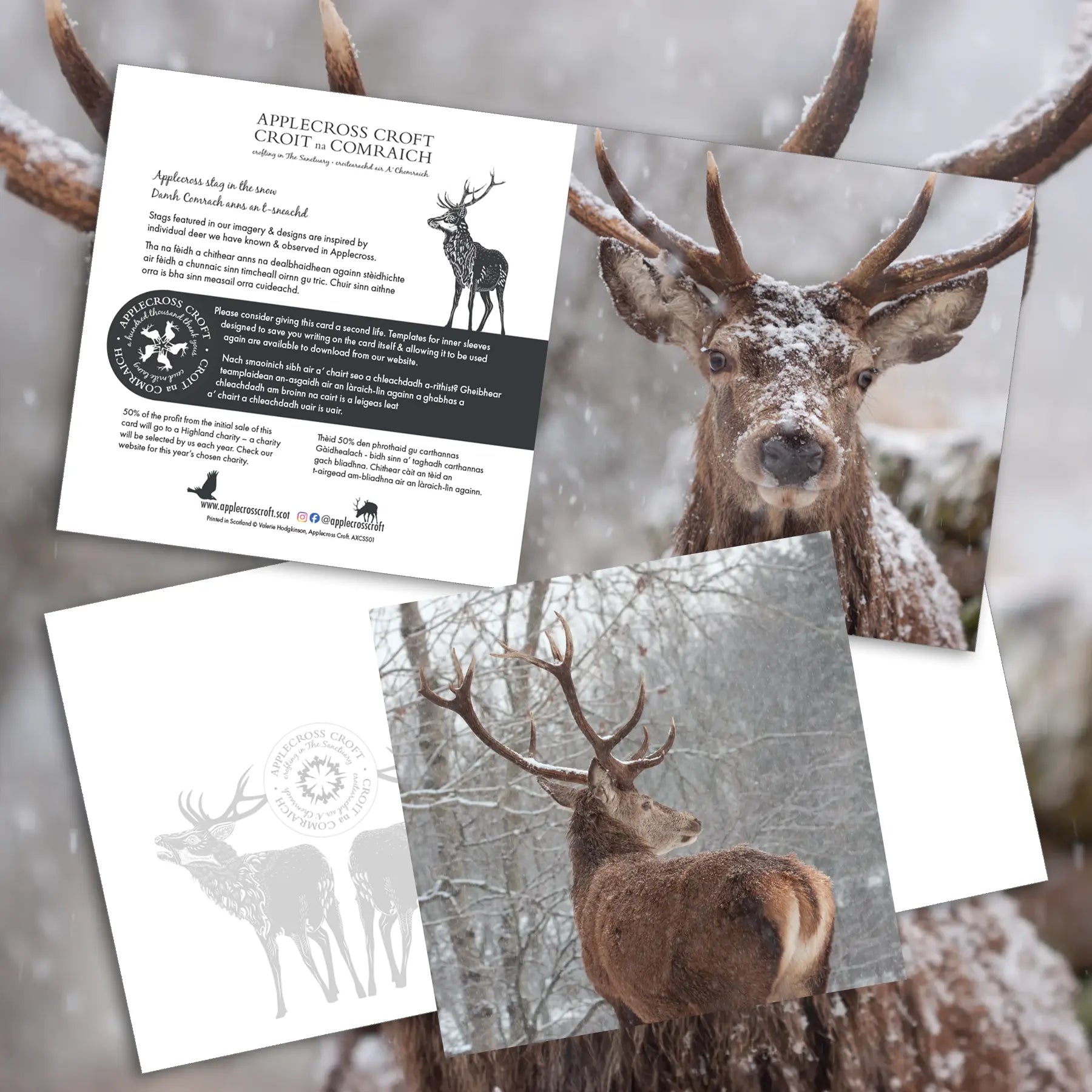 Applecross stag greetings cards – 50% profits to charity.
